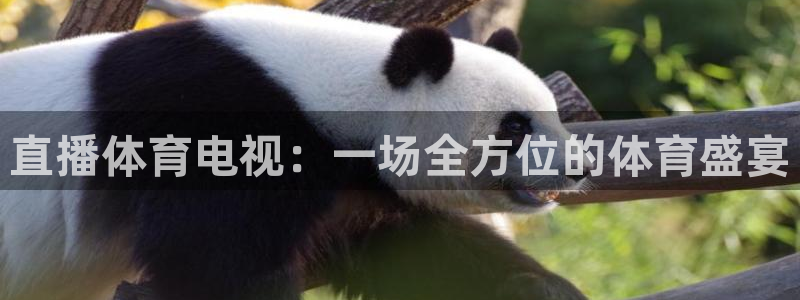 龙门直播app体育：直播体育电视：一场全方位的体育盛宴