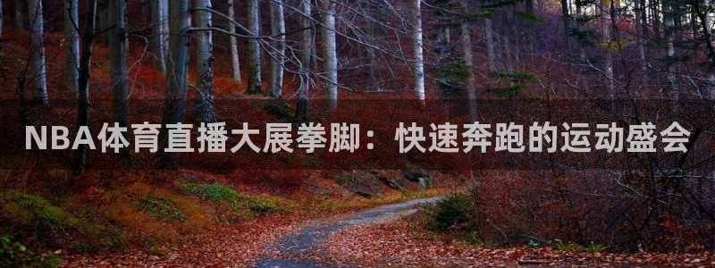 龙门直播体育：NBA体育直播大展拳脚：快速奔跑的运动盛会