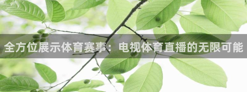 龙门镖局1.5在线观看免费完整版：全方位展示体育赛事：电视体育直播的无限可能