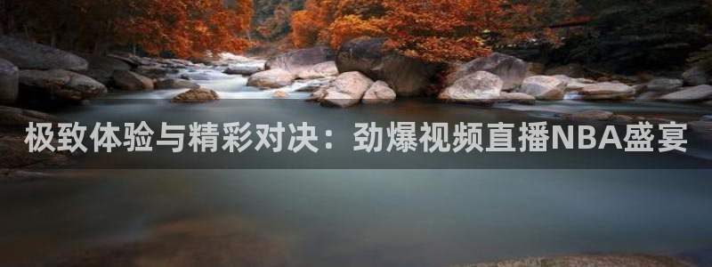 龙门直播下载：极致体验与精彩对决：劲爆视频直播NBA盛宴