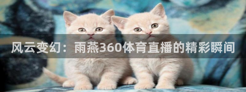 龙门直播免费下载入口：风云变幻：雨燕360体育直播的精彩瞬间